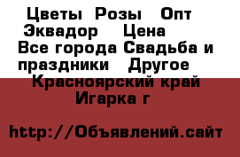 Цветы. Розы.  Опт.  Эквадор. › Цена ­ 50 - Все города Свадьба и праздники » Другое   . Красноярский край,Игарка г.